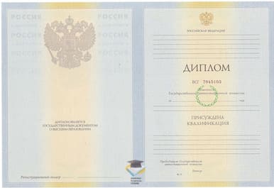 Диплом АлтГПА 2010-2011 годов